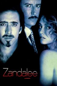 Zandalee (En el límite del deseo) 1991 online