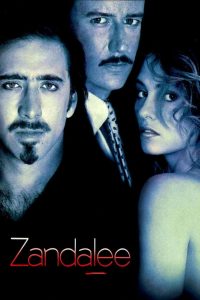 Zandalee (En el límite del deseo) 1991 online